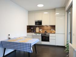 Аренда 2кк 60 м2, Карлин