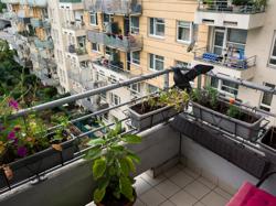 Продажа меблированной квартиры 3+кк, 73м2, Praha - Řepy