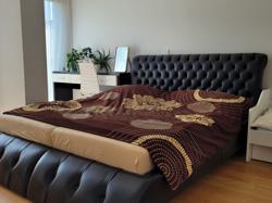 Продажа эксклюзивной квартиры 2 + кк площадью 84 м2, в Праге 5 - Смихов