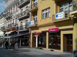 Продажа апартаментов 3+кк и 2+кк в Карловых Варах