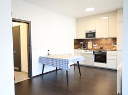 Аренда 2кк 60 м2, Карлин