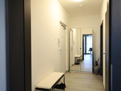 Аренда 2кк 60 м2, Карлин