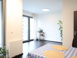 Аренда 2кк 60 м2, Карлин